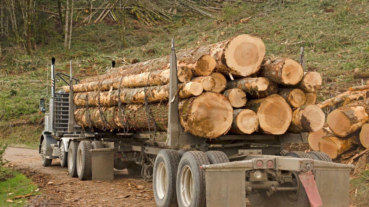 image-camion-de-grume-de-bois